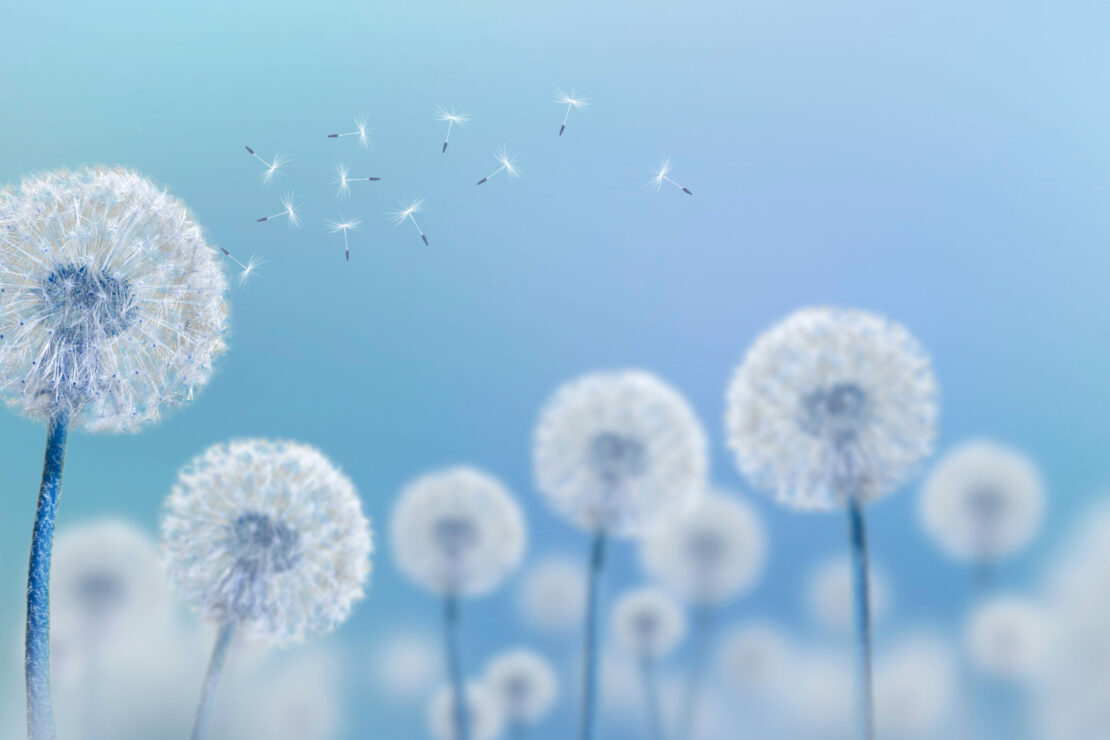 applicationsautres-plumchonsairwatec-highres