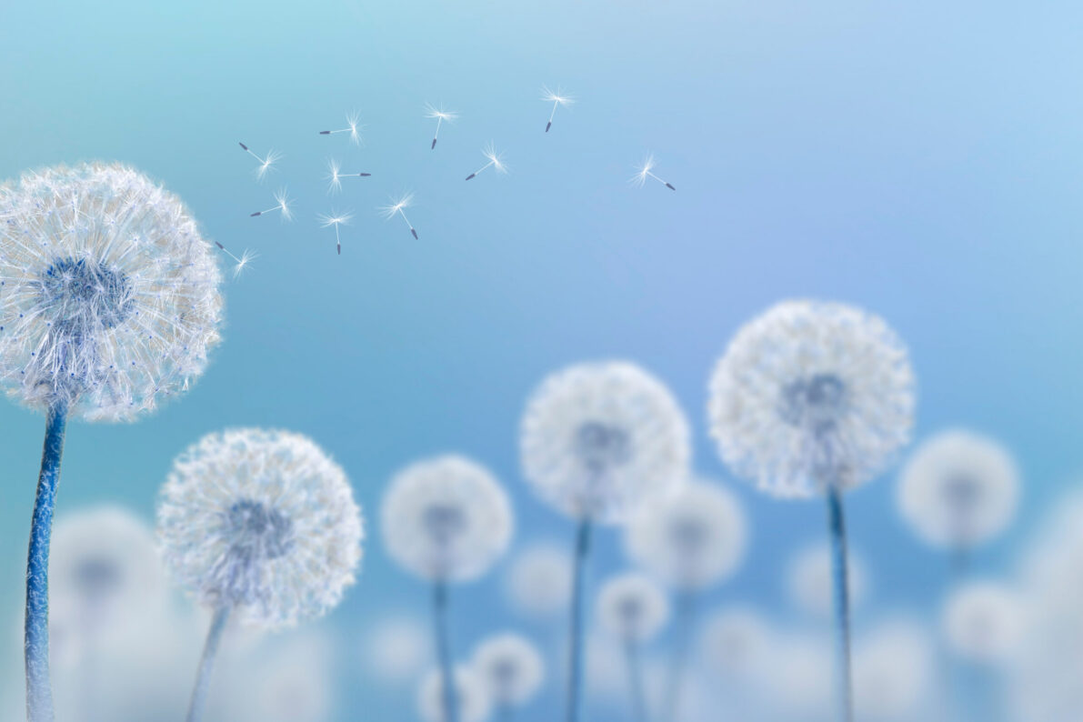 applicationsautres-plumchonsairwatec-highres
