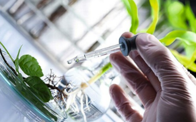 bio technology