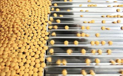 pharma
