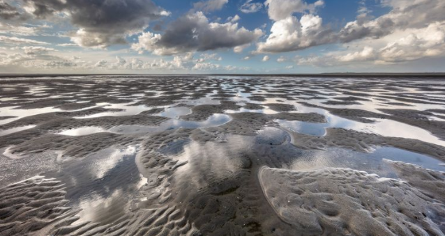 Waddeneil